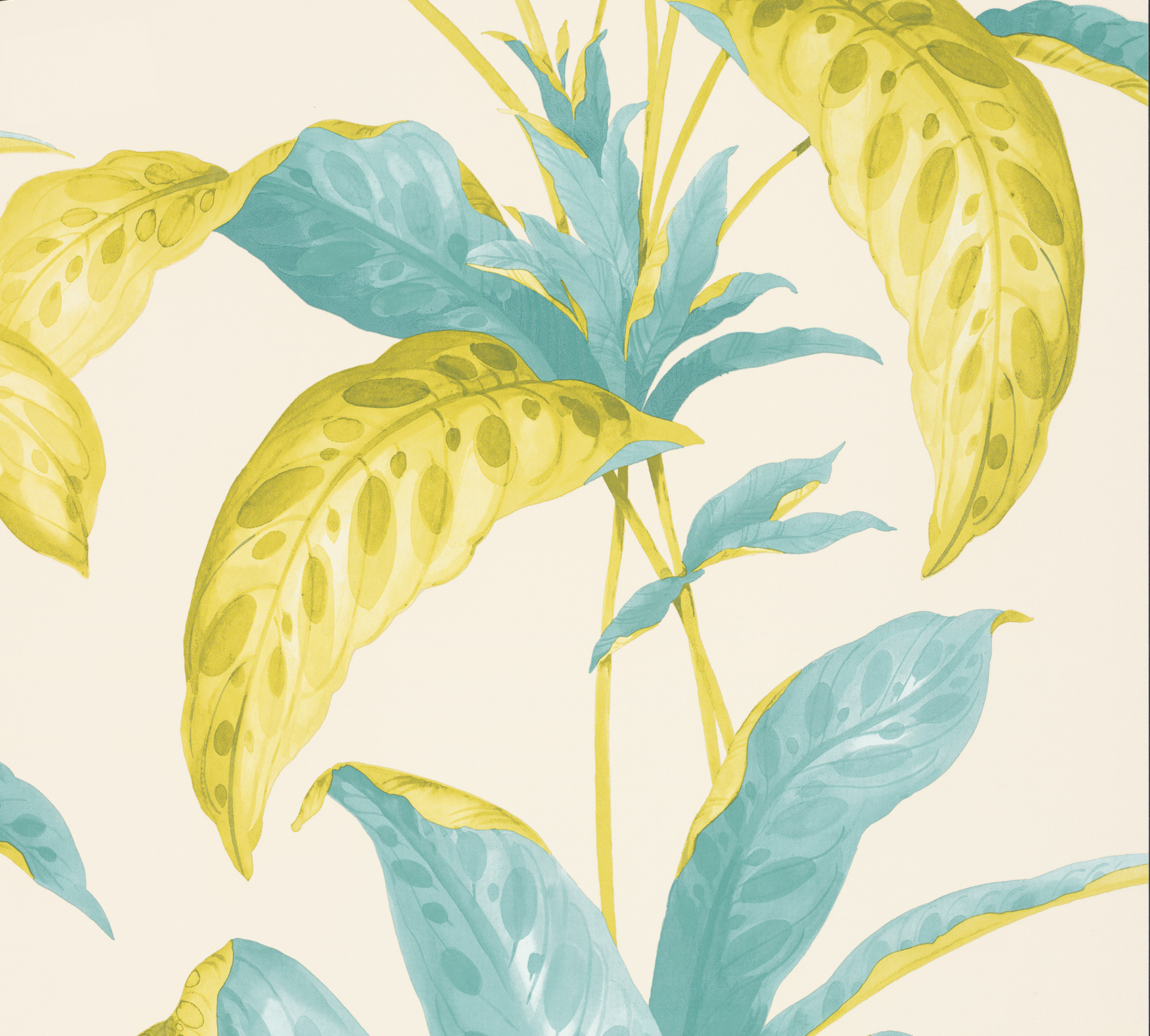 Обои Paint & Paper Library Botany Tropicane Scallion 0360TRSCALL